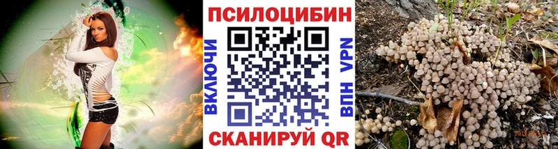 Галлюциногенные грибы GOLDEN TEACHER  купить закладку  Обь 
