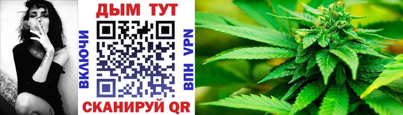 закладка  Обь  Бошки Шишки семена 